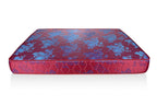 Eurofoam 5x6 Premium High Density Mattress