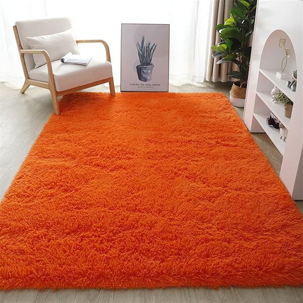 Fluffy Shaggy Rug