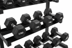 Rubber Hex Dumbbells Set - White Background