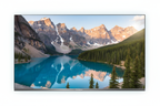 Globalstar 55UK64 4K Smart TV front view white background