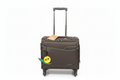 Brown Trolley Luggage Small Cabin Size on white background
