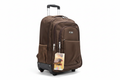 Small Dark Brown Trolley Backpack White Background