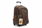Small Dark Brown Trolley Backpack White Background